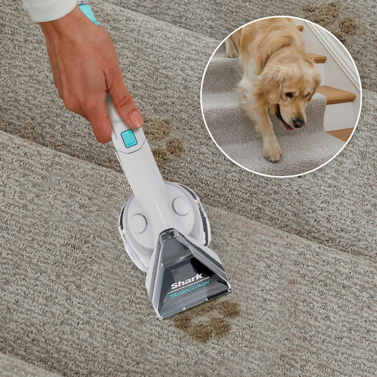 Shark StainStriker Portable Carpet and Upholstery Cleaner - PX205CCO