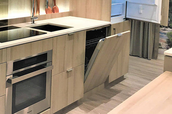 Panasonic 24-inch fully integrated panel-ready dishwasher NP-6F1FFHCA