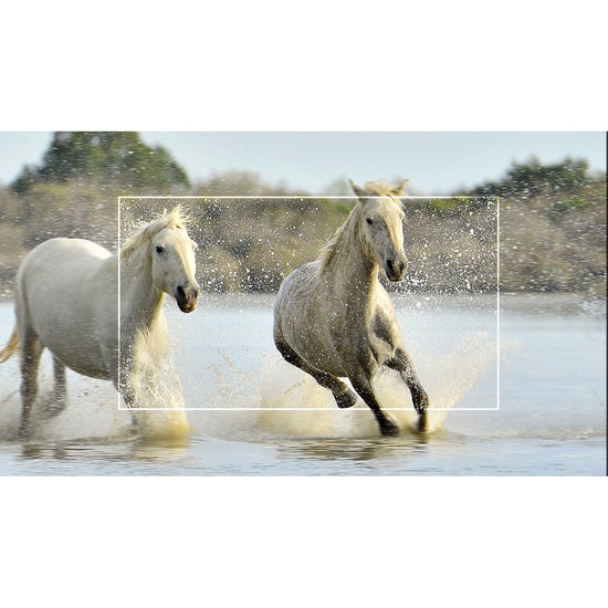 TCL 65" 4K UHD HDR LED Smart Google TV - 65S450G