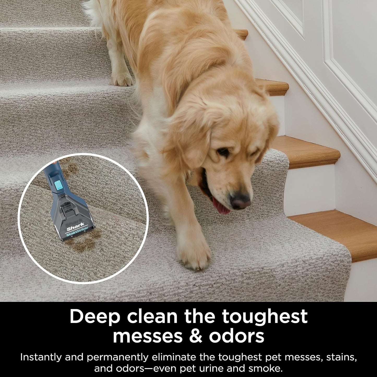 Shark CarpetXpert Area Rug & Upholstery Cleaner for Pets with Built-In Spot & Stain Eliminator - EX200C