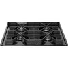 Premier 24 Inch Stainless Steel Gas Range - P24S3102PS