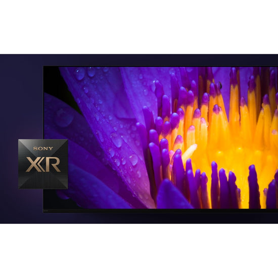 Sony BRAVIA XR 55" OLED 4K HDR Google TV - XR55X80B