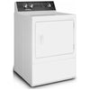 Huebsch 7.0 cu. ft. Sanitizing Gas Dryer with Steam - DR5103WG