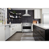 Frigidaire Professional 36 Inch Slide-In Gas Range with True Convection, Stainless Steel - PCFG3670AF