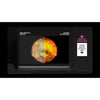 LG 65 Inch OLED evo AI 4K Smart TV - OLED65B6EU